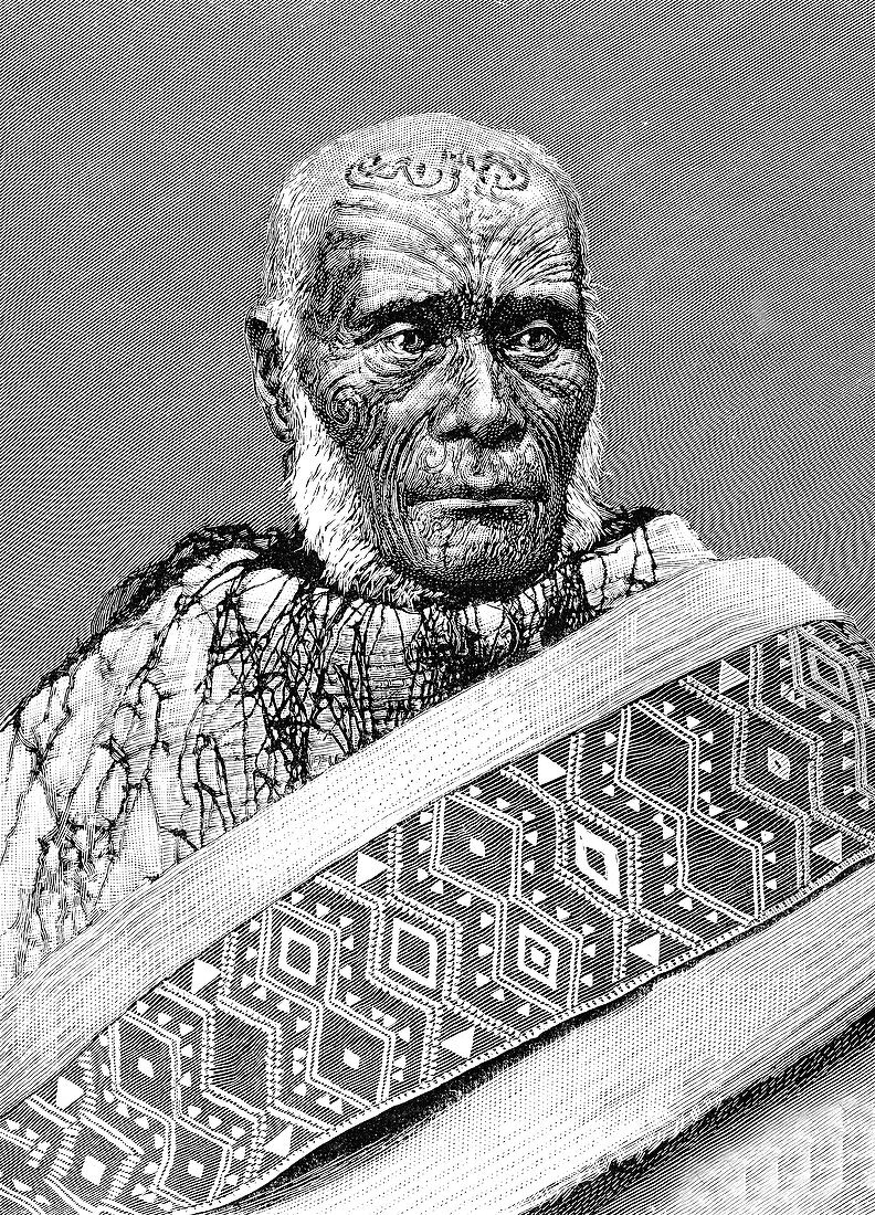 19th Century Maori chief, illustration