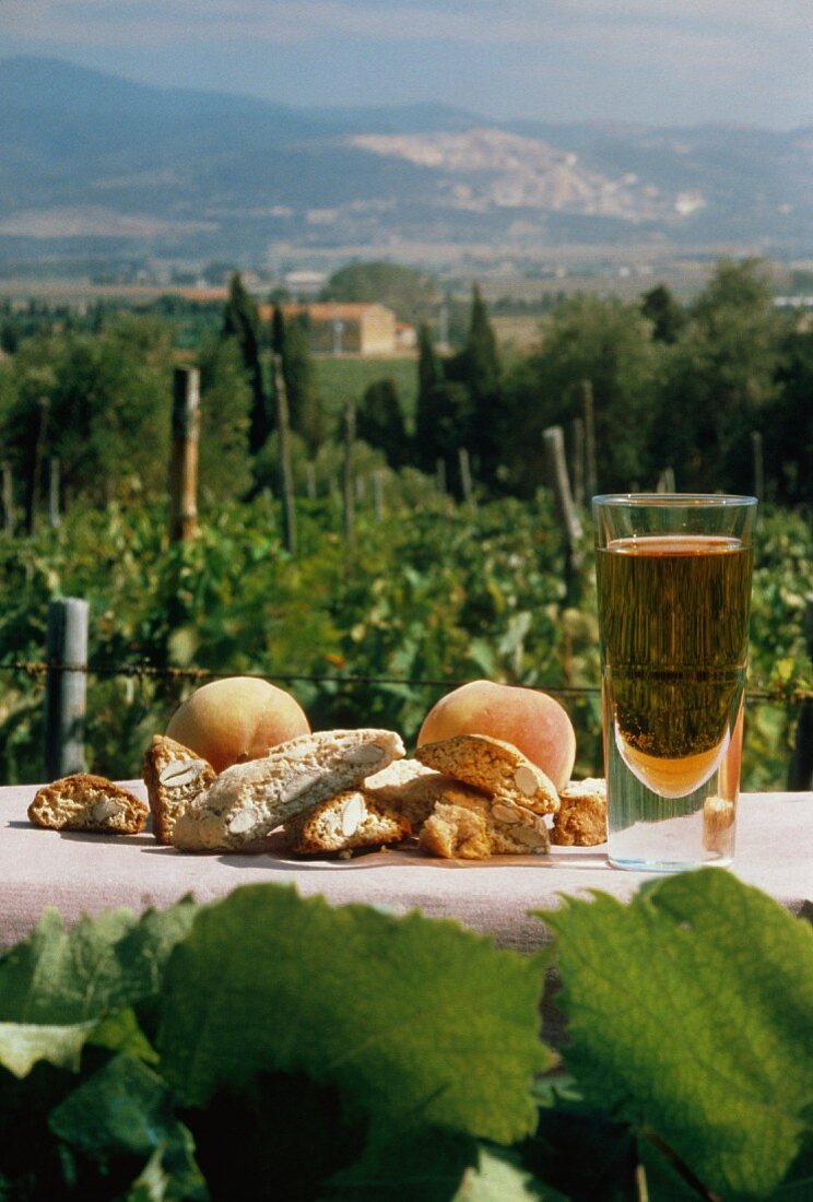 Biscotti & Vin Santo auf Tisch (außen; Populonia, Italien)