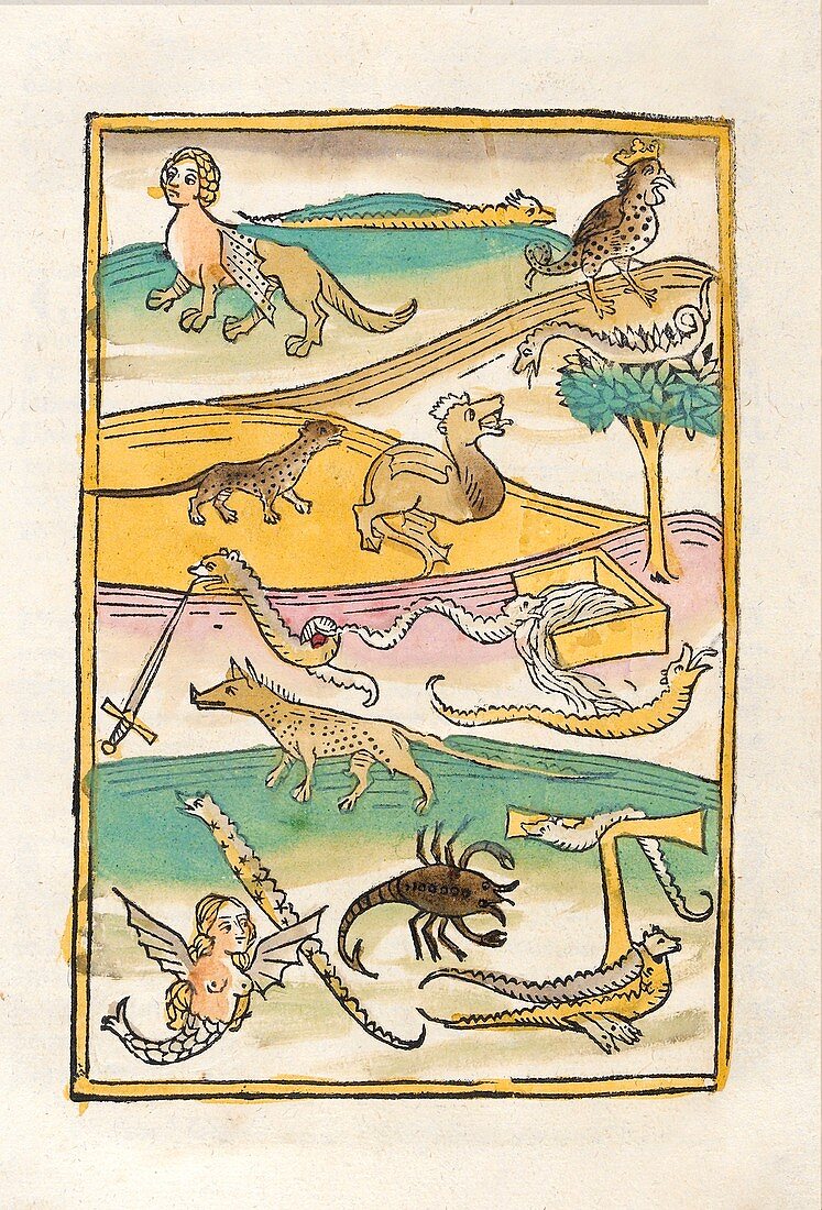 Hybrid and mythological creatures, 15th century