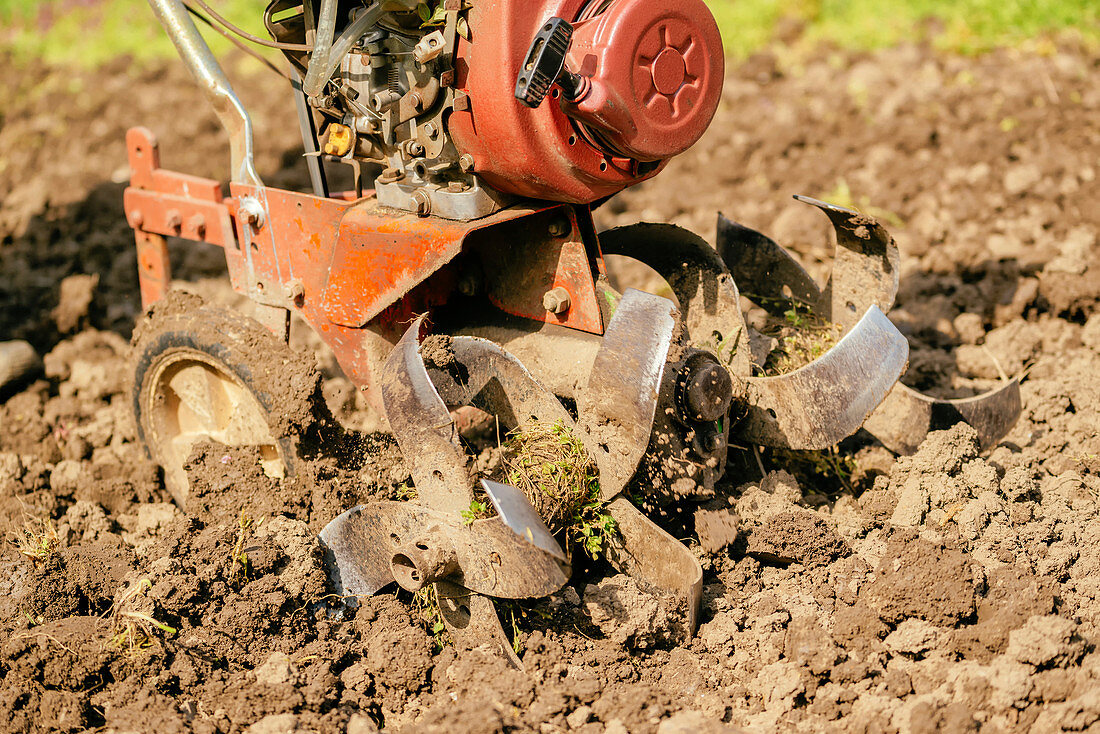 Preparing garden soil with cultivator