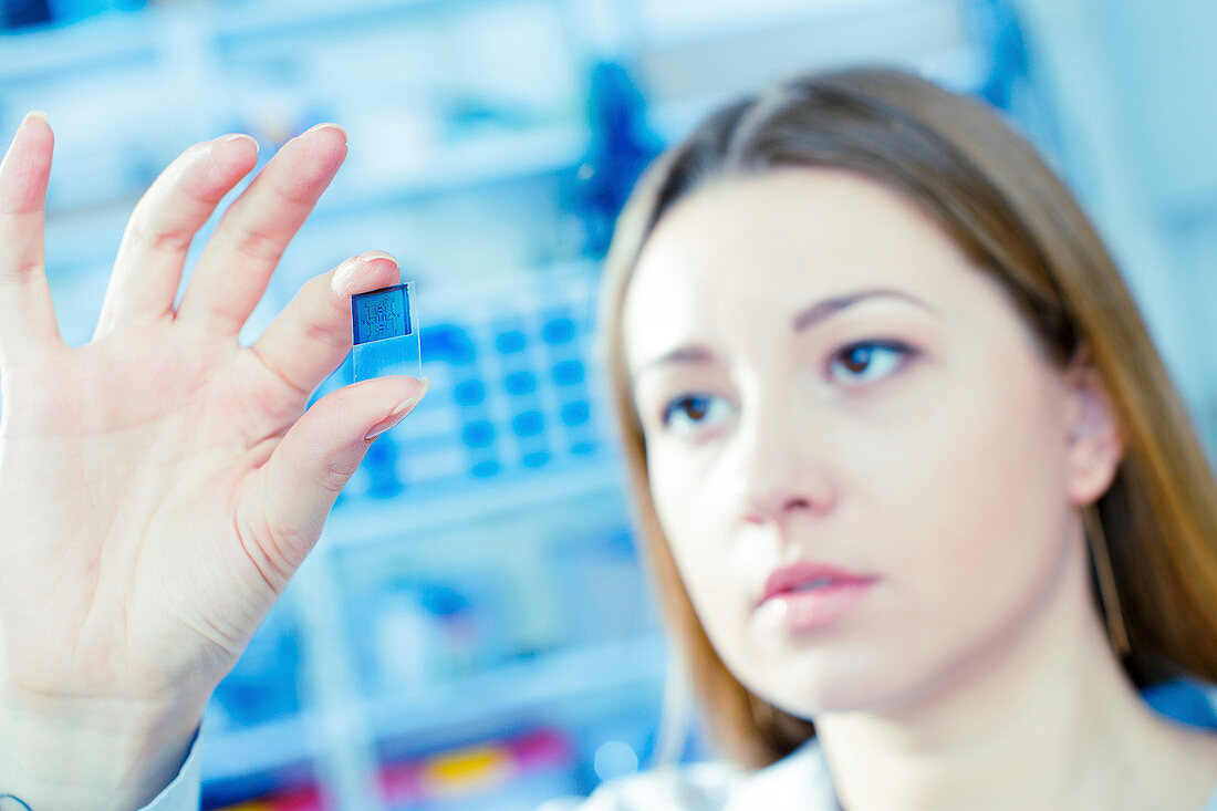 Technician examining microchip