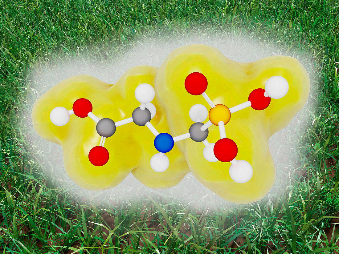 Glyphosate molecule, illustration