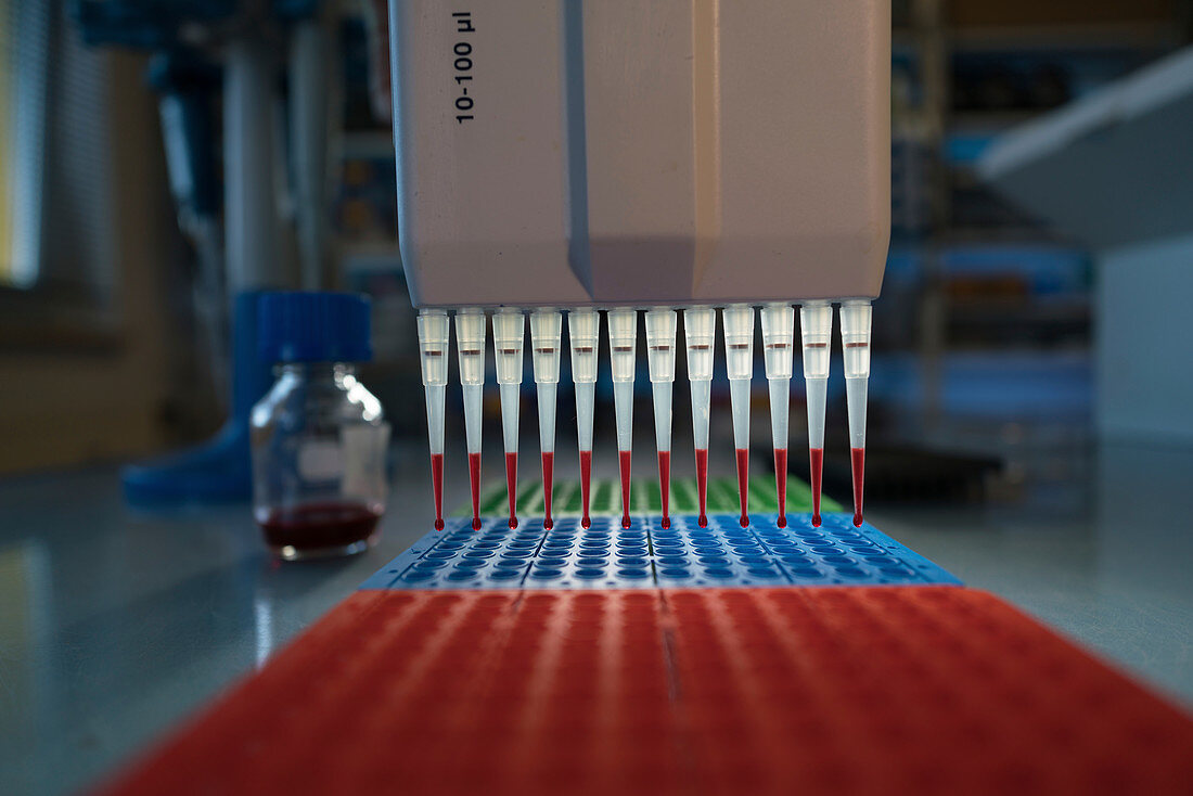Multi pipette and multi well plate