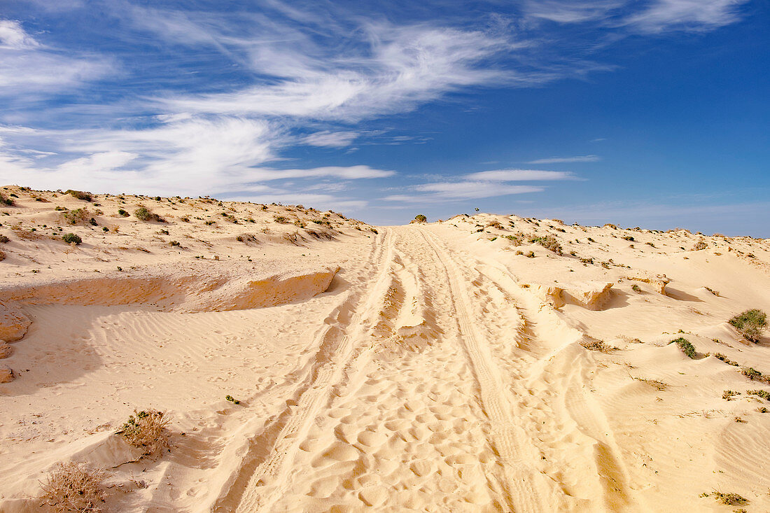 Track in sand dune