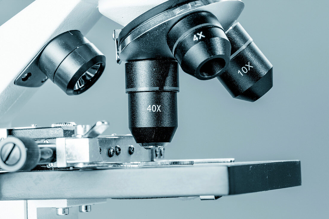 Light microscope stage and lenses