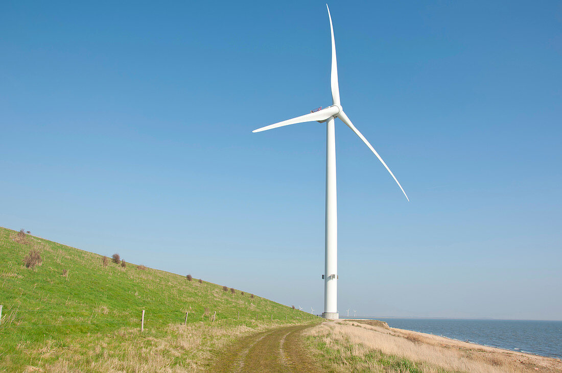 Coastal wind turbine