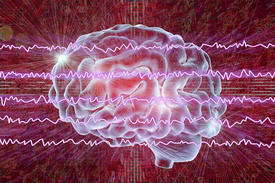 Brain and brain waves, illustration