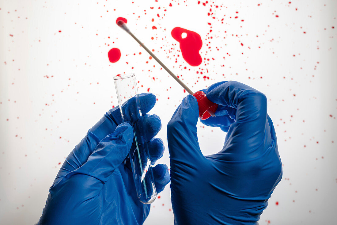 Forensic technician taking bloodstain sample