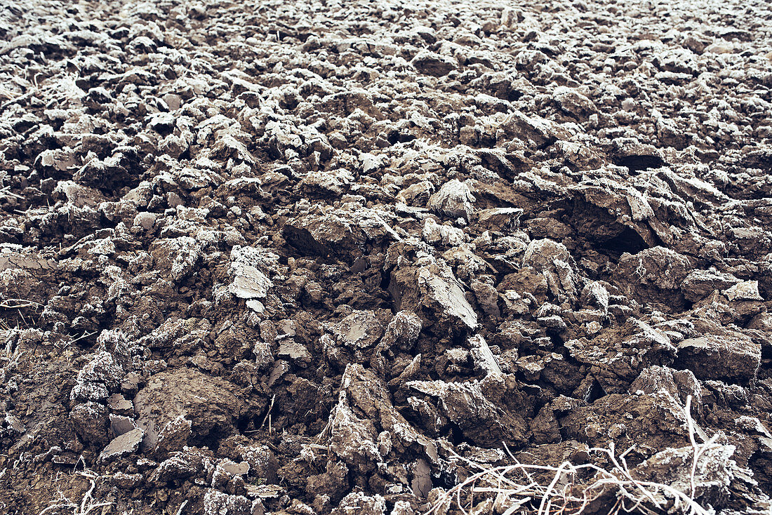 Frozen plowed field covered with frost