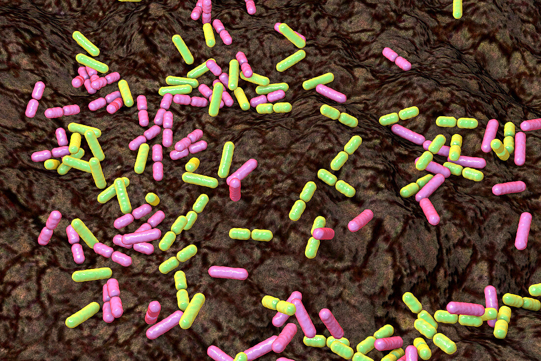 Antibiotics from soil bacteria, conceptual illustration