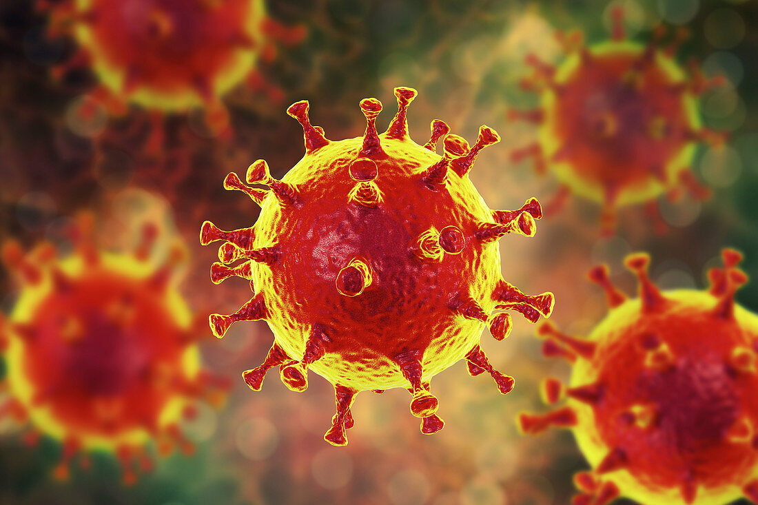 MERS coronavirus, illustration
