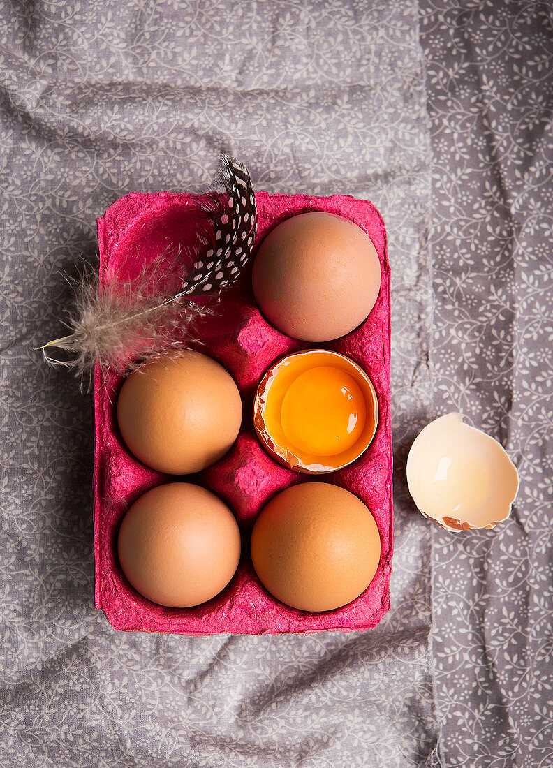 Fünf frische Eier mit Feder im pinken Eierkarton