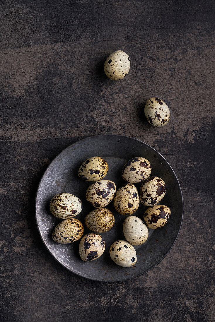 Still life of quail eggs
