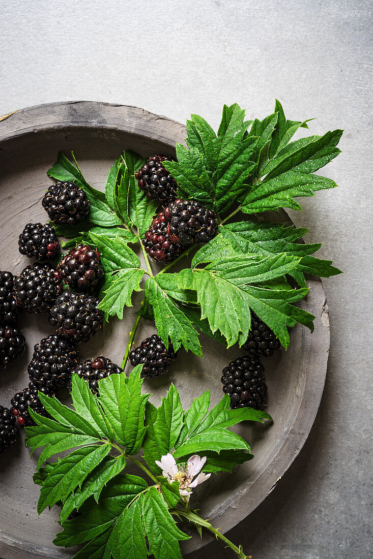 Brombeeren mit Blättern