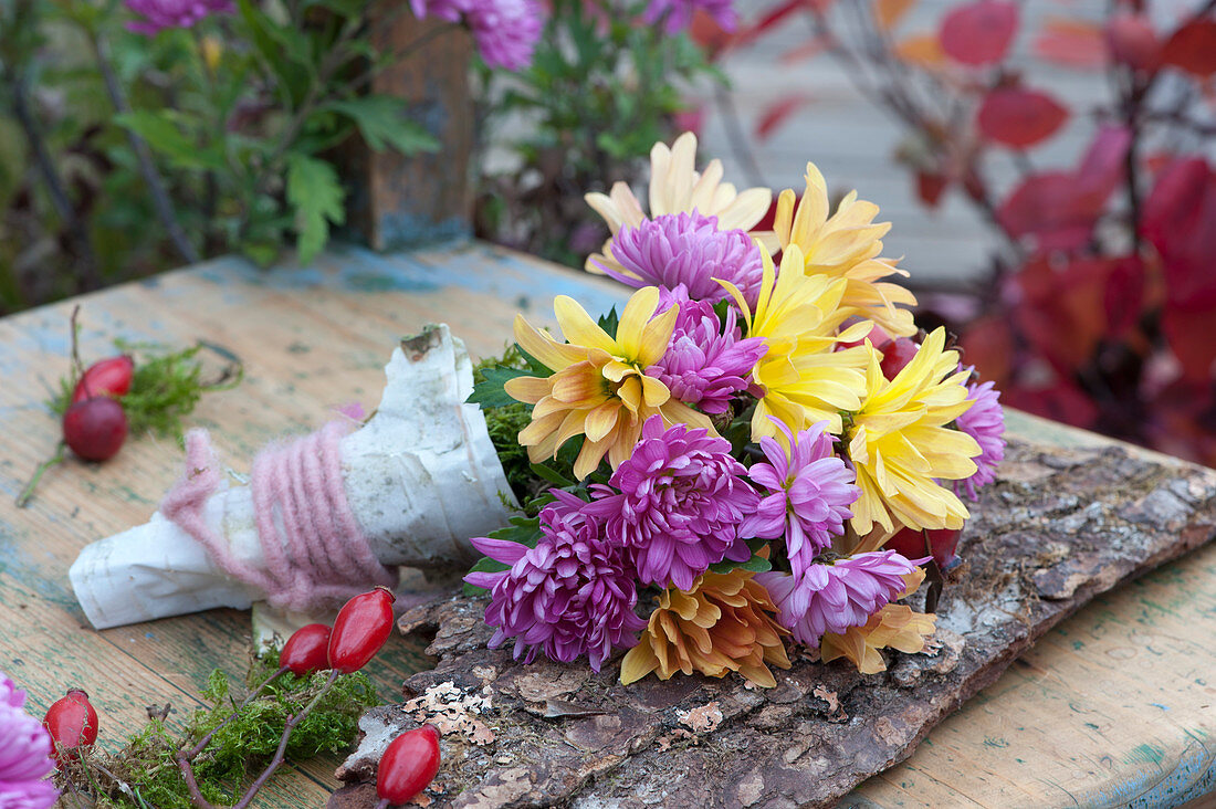 Small Bouquet Of Chrysanthemums On Bark