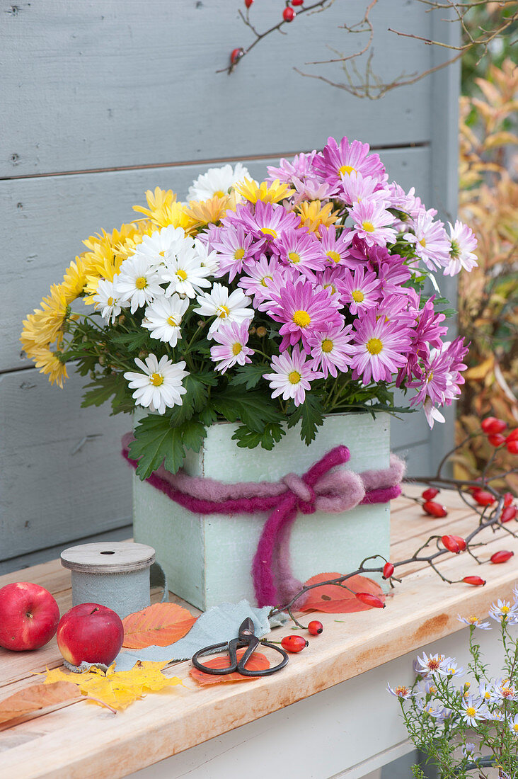 Trio Chrysanthemum In A Square Pot