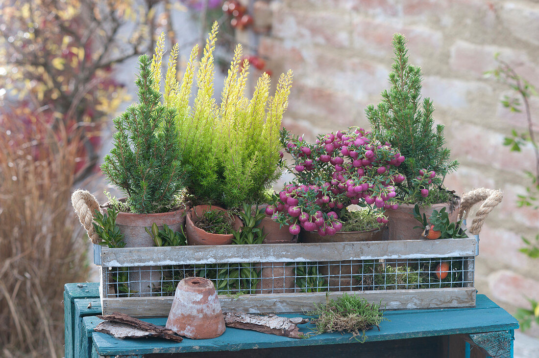 Autumn Arrangement In The Lattice Basket