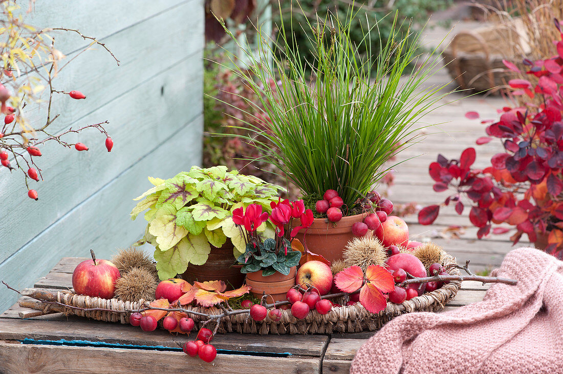 Autumn Arrangement With Leaf Decorations And Fruits
