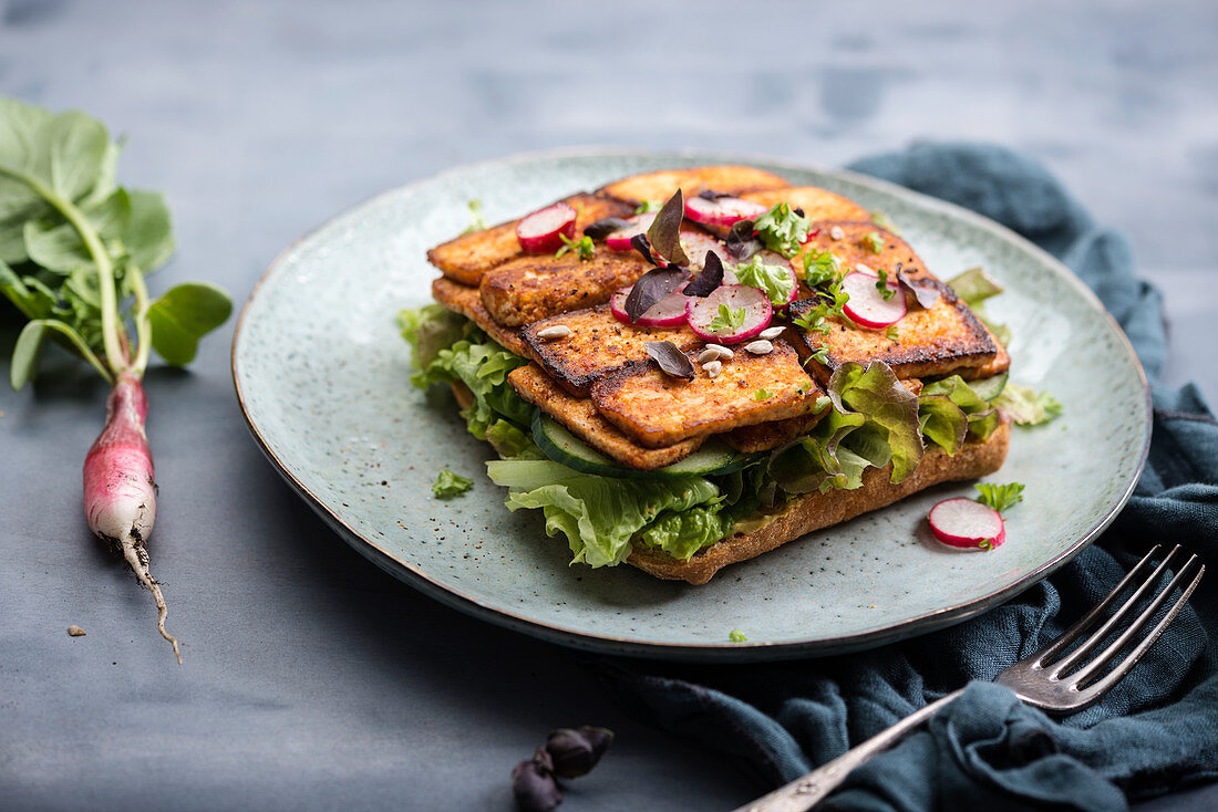 A bread roll with salad, cucumber, tofu, radishes and sunflower seeds (vegan)