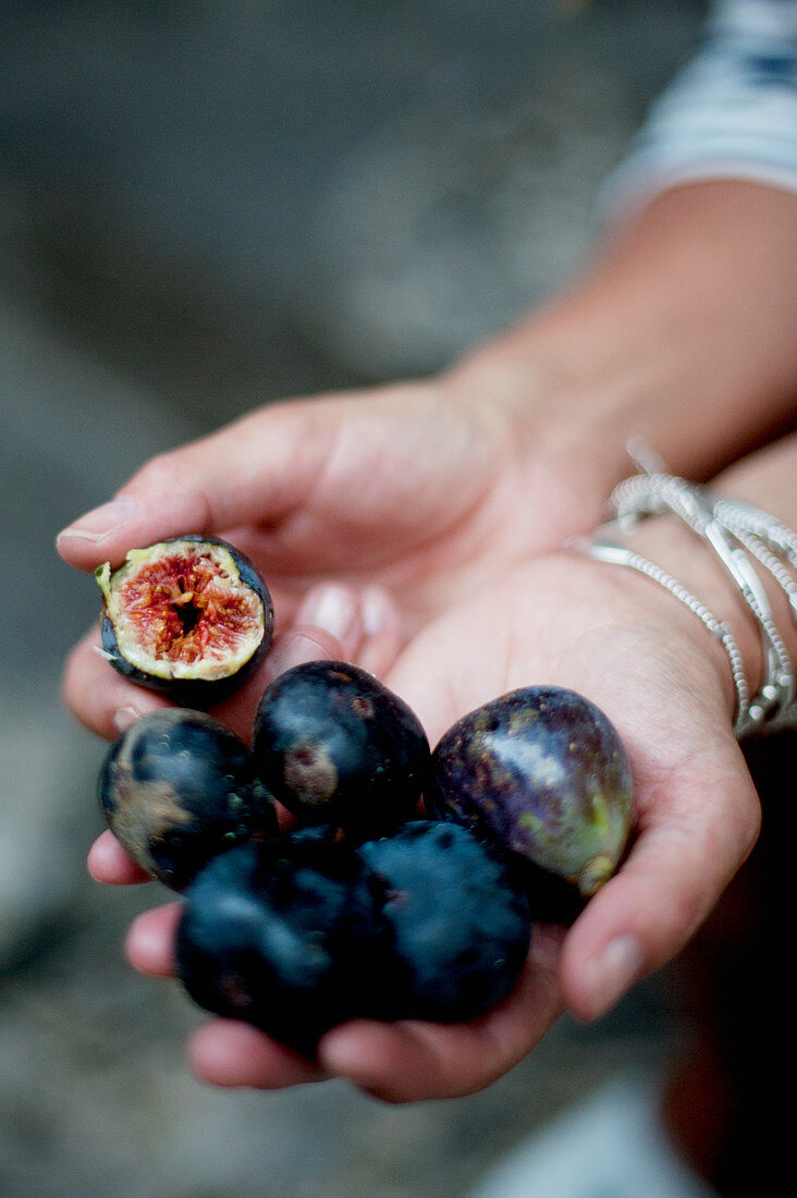 Hands holding red figs