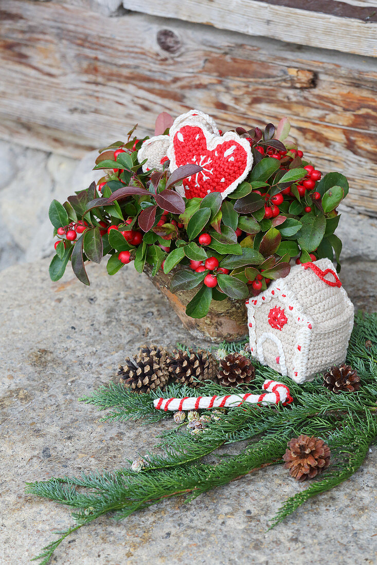 festive arrangement of decorations and potted Gaultheria