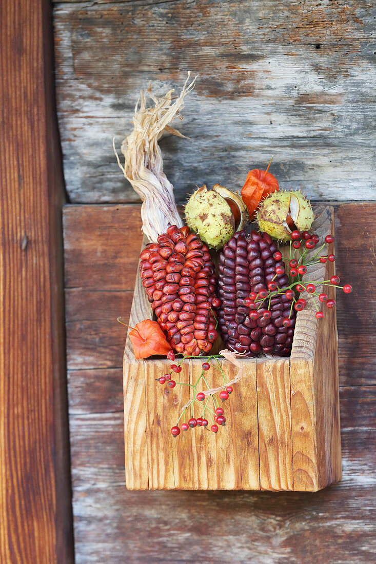 Red corn, chestnuts and rose hips