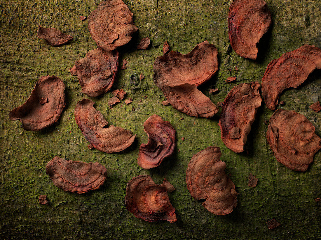 Rote-Bete-Chips