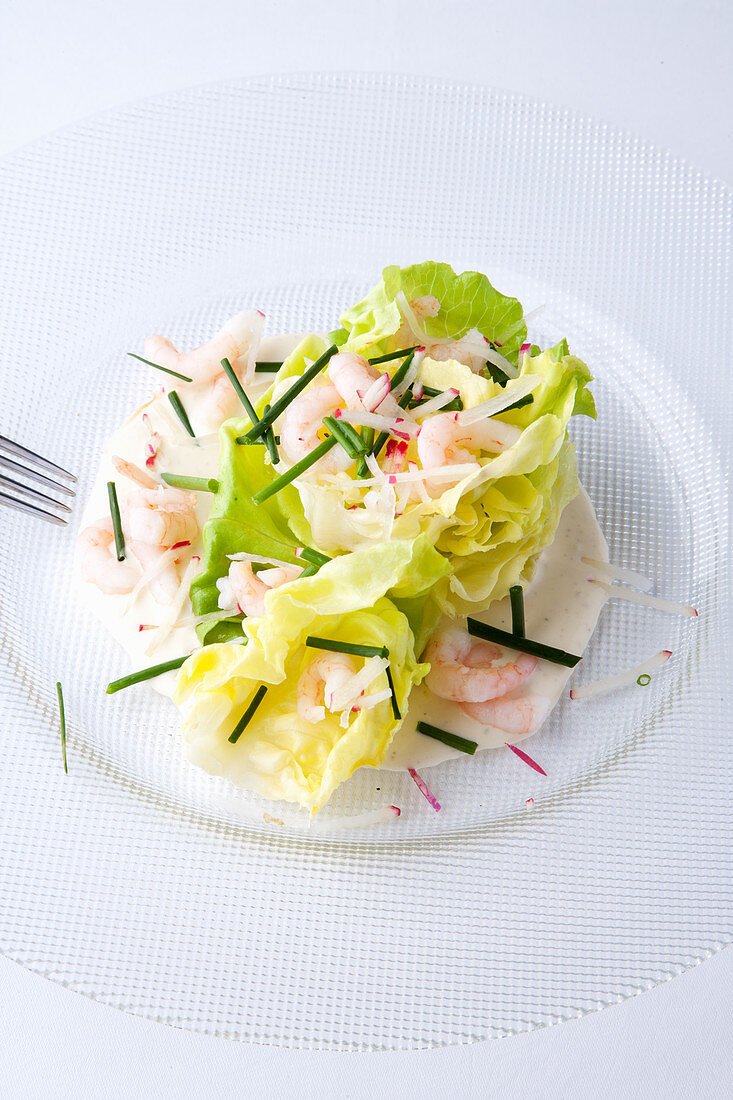 American lettuce with shrimps