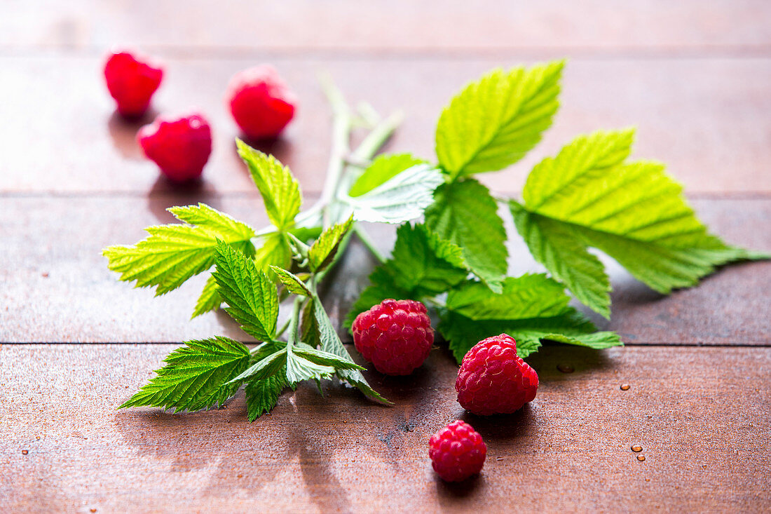 Raspberries with leaves