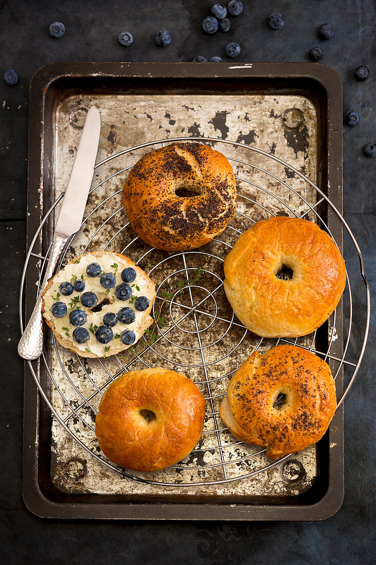 Homemade bagels with goat's cheese, blueberries, thyme and honey