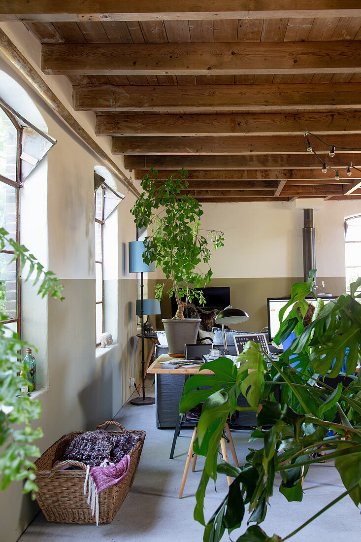 Houseplants and laundry basket in front of desk in open-plan interior with wooden ceiling beams
