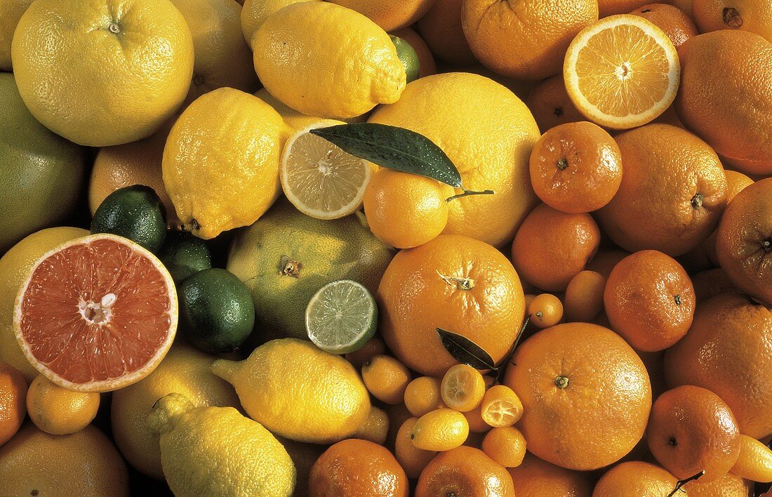 Viele Zitrusfrüchte: Orangen,Mandarinen,Zitronen,Limonen u.a.