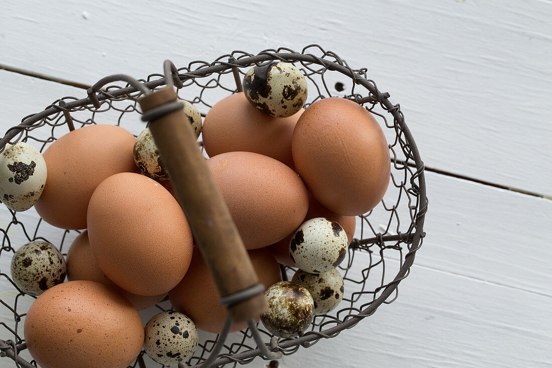 Hen's eggs and quail's eggs in a wire basket (seen from above)