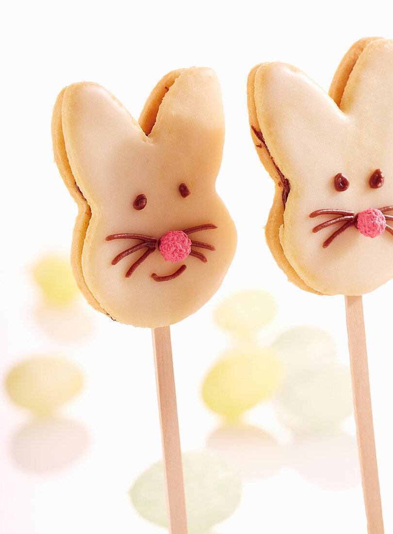 Easter bunny biscuits lollies decorated with chocolate cream and icing