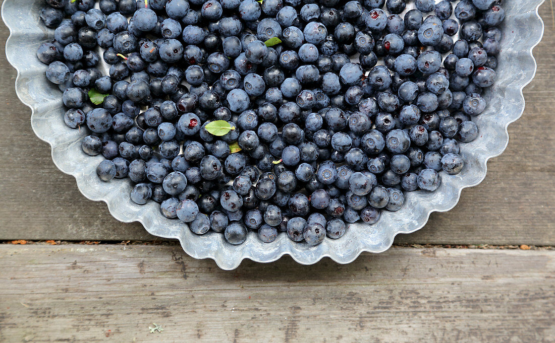 Wild blueberries