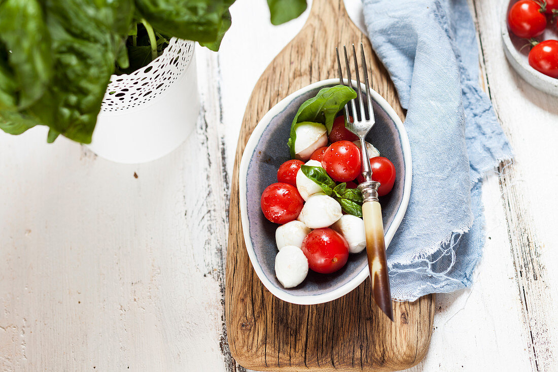 Insalata caprese (mozzarella with cherry tomatoes and basil)