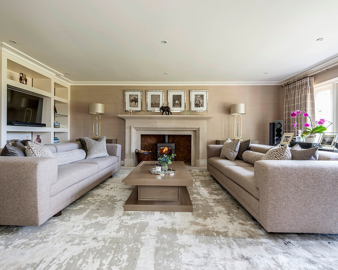 Two sofas facing one another in elegant grey living room