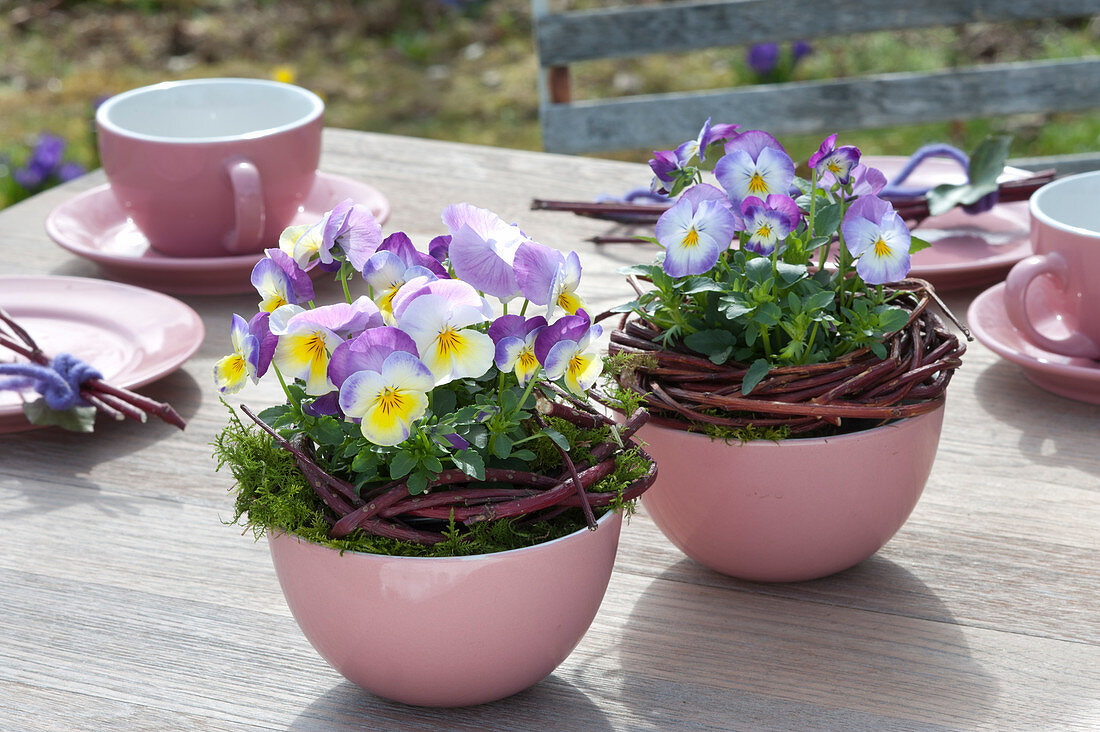 Table Decoration With Horned Violets In Cereal Bowls