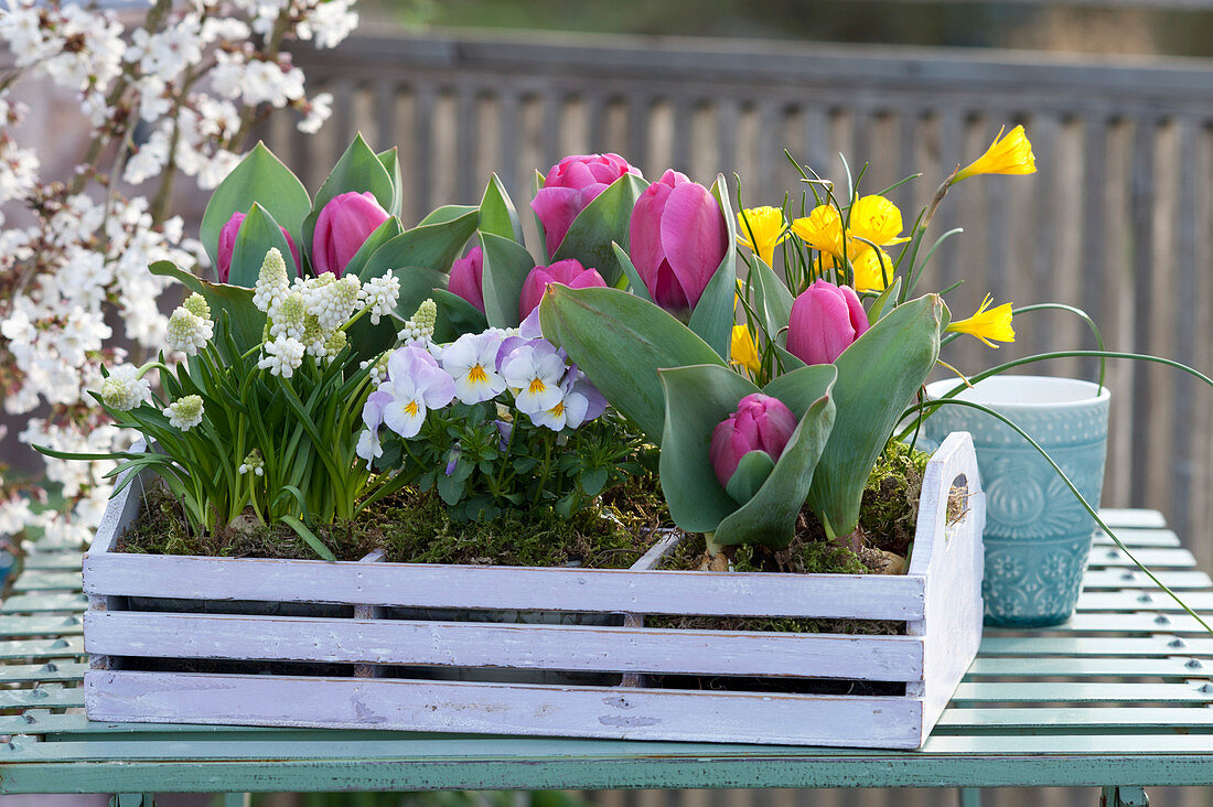 Kleiner Kasten mit Frühlingsblumen