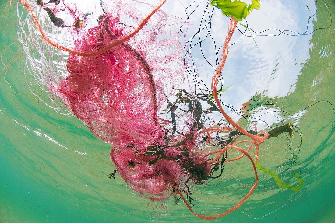 Plastic fishing nets floating in ocean