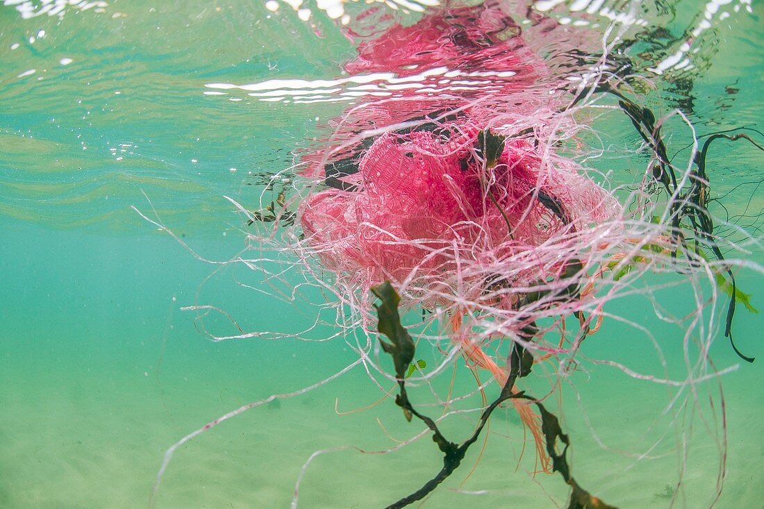 Plastic fishing nets floating in ocean