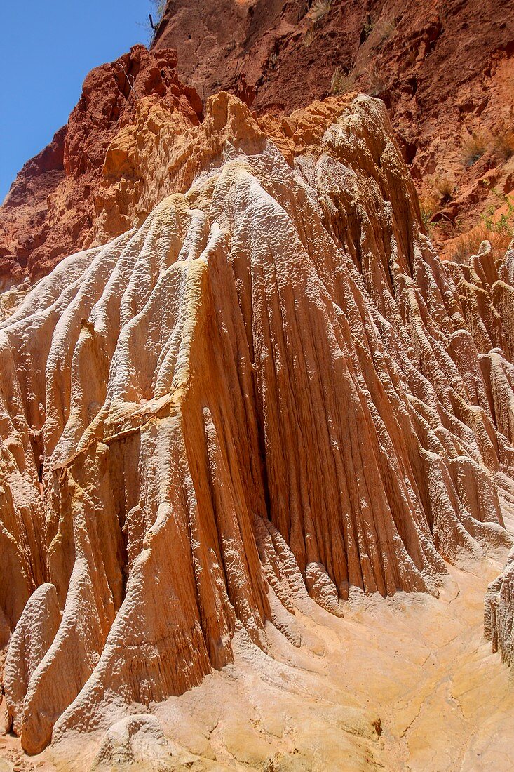 Sandstone erosion due to deforestation