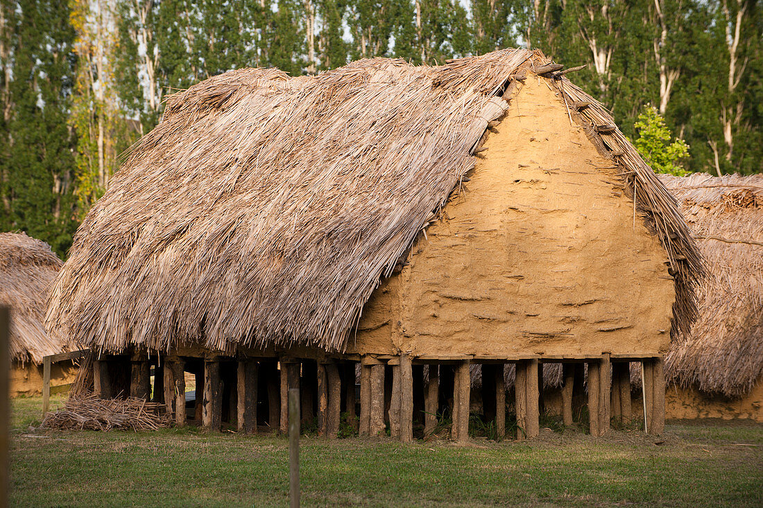Reconstructed Neolithic hut, La Draga site