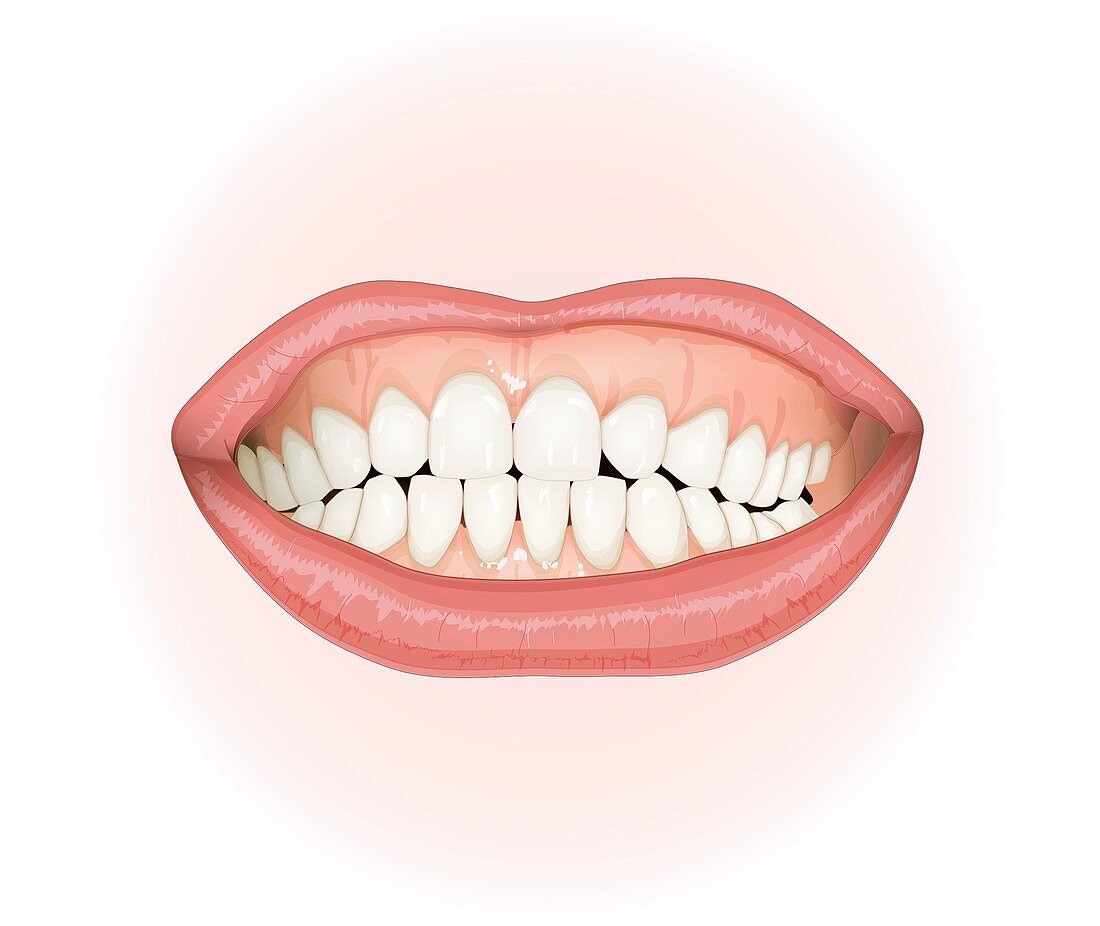 Human mouth, illustration