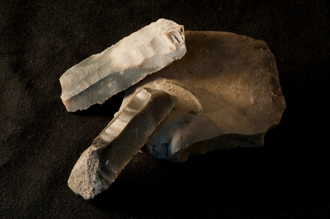 Flint blades excavated from La Draga Neolithic site