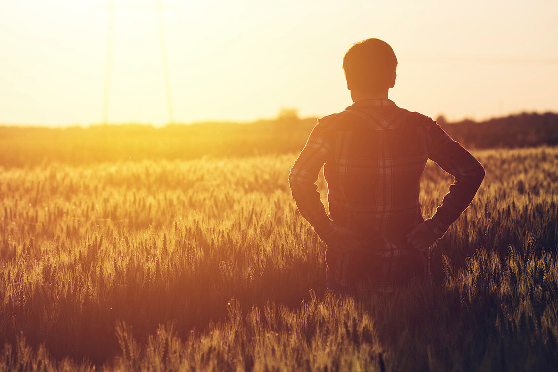 Farmer silhouetted in field