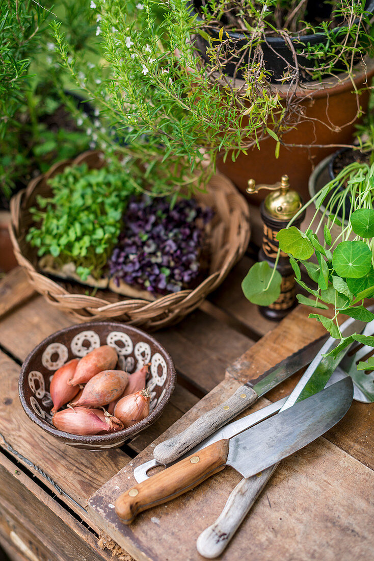 Kräuter, Zwiebeln und Utensilien auf Holzbrett einer Gartenküche