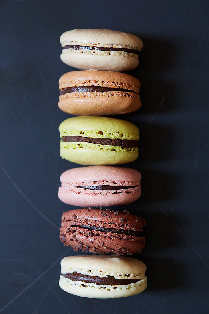 Sechs verschiedene Macarons vor dunkelblauem Hintergrund