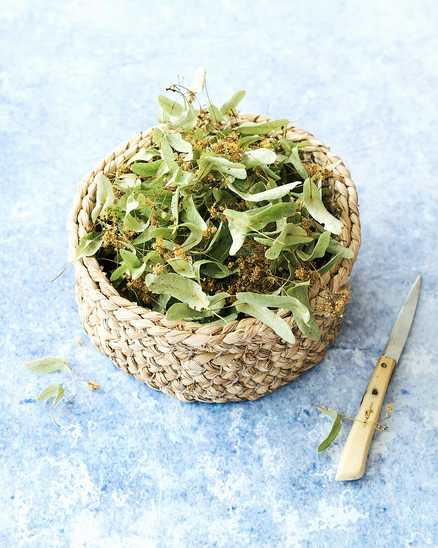 Lime flowers with leaves for tea in a basket
