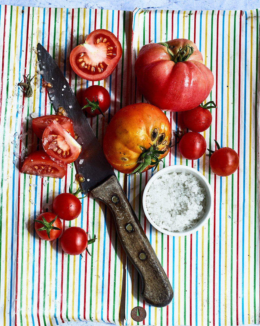 Freshly harvested Sicilian tomatoes with sea salt (seen from above)